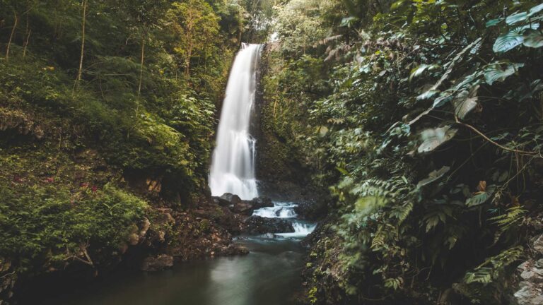 Private Bali waterfall tour with local driver