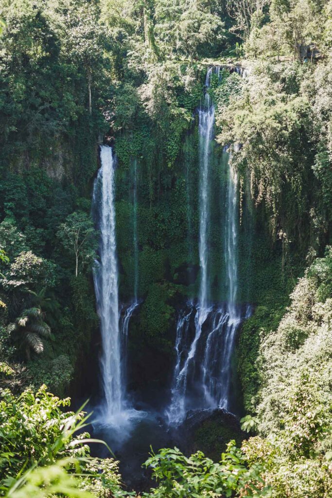 Couple enjoying Bali waterfall tour