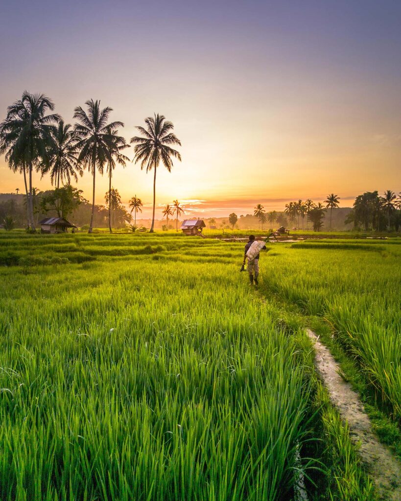 Bali Morning View