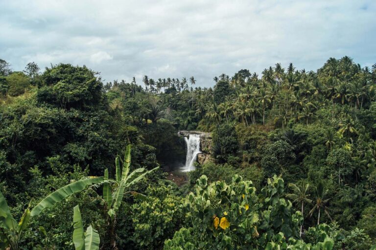 Aerial view of Tegenungan Waterfall and lush forest at sunset