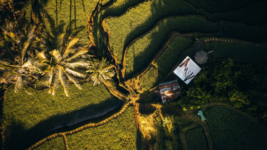ubud-place-is-top-the-best-in-bali