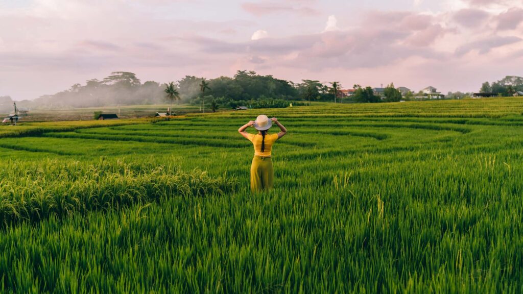 woman in terace harmony bali