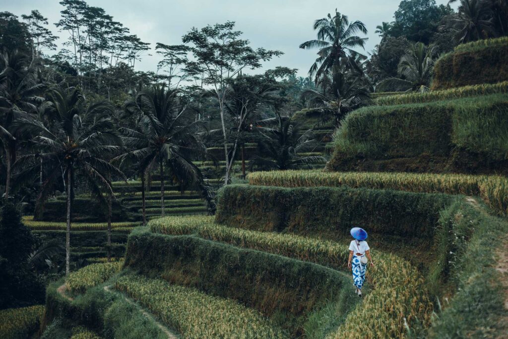 tegalalang in reany sesions