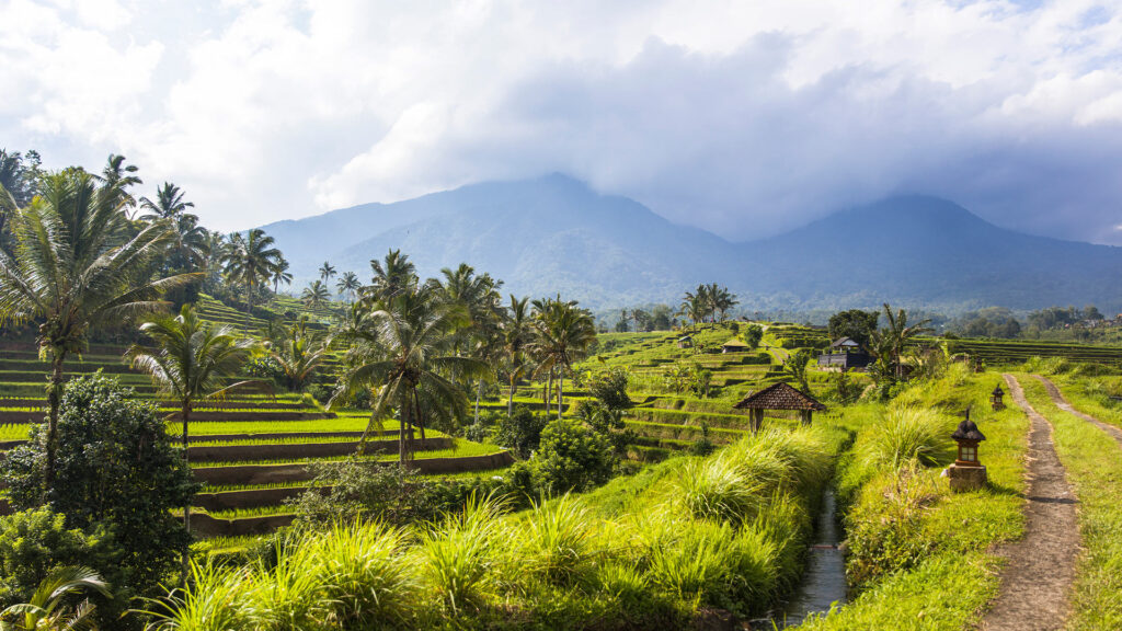 road in Jatiluwih Rice Terraces