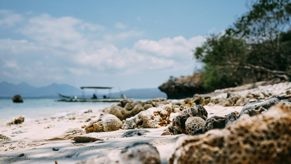 manjangan island best north bali island