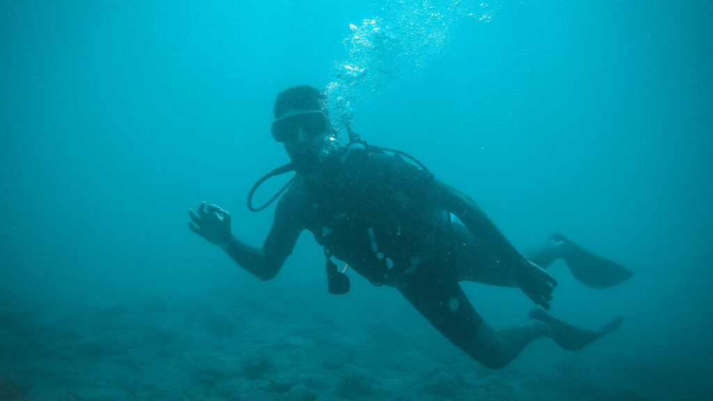 tourist snorkling view