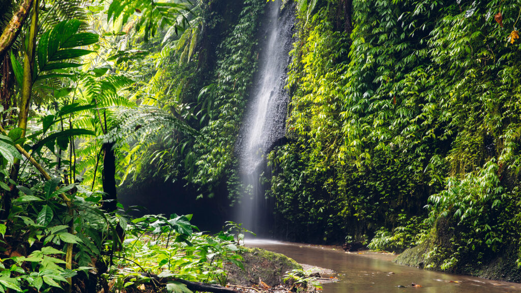 Tukad Cepung water view