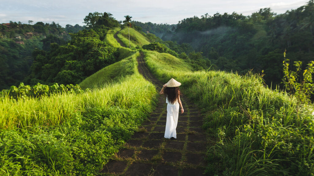 Full-Day Tour in Bali campuhan ride ubud