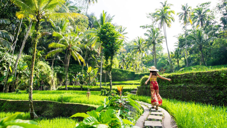 Scenic spots for photography in Bali