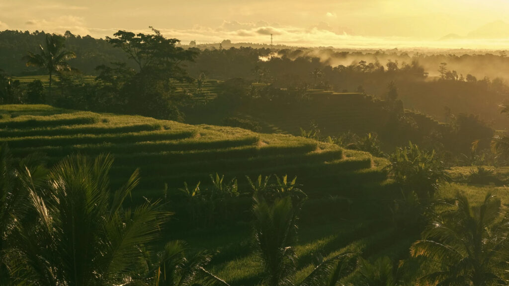 ubud tegalalang view