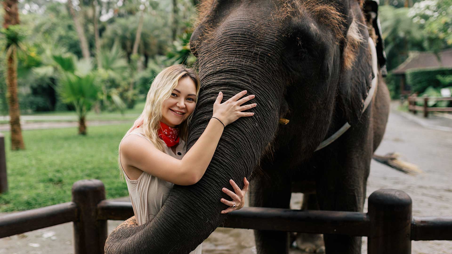 Elephant Safari Park Tour Bali