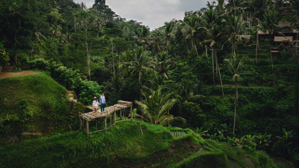 Ubud Full-Day Private Driver Tour