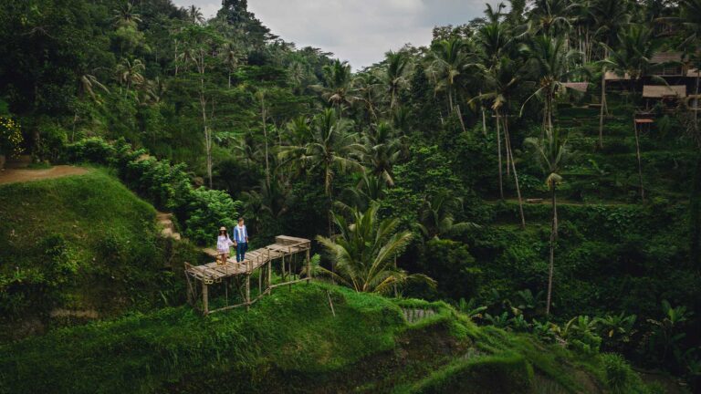Ubud Full-Day Private Driver Tour