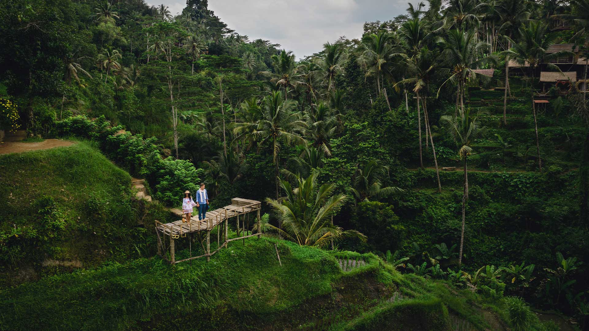 Ubud Full-Day Private Driver Tour