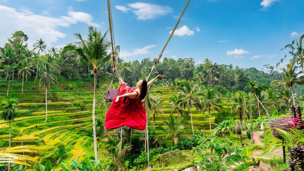 Ubud-Swing-and-Rice-Terrace-Private-Tour-1