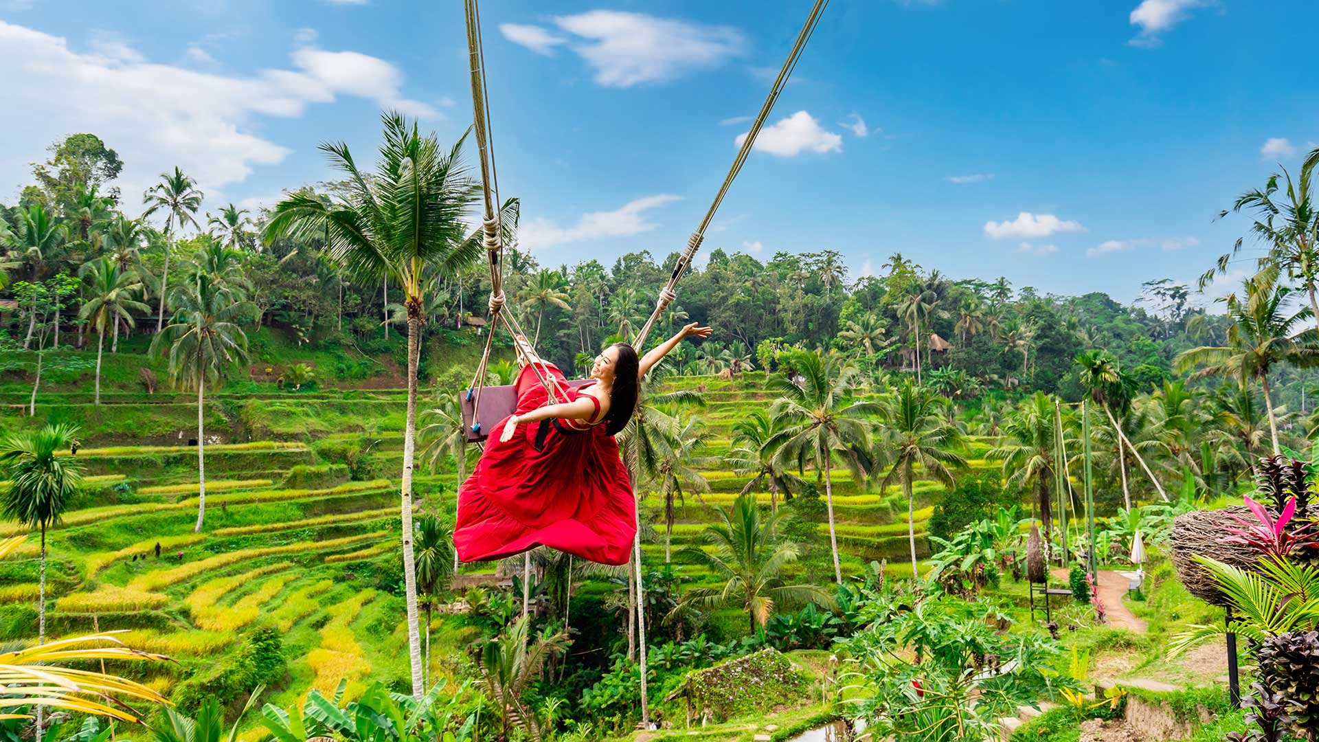 Ubud-Swing-and-Rice-Terrace-Private-Tour-1
