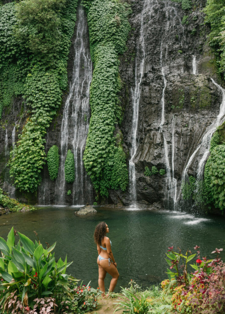 Banyumala Twin Waterfall Private Tour