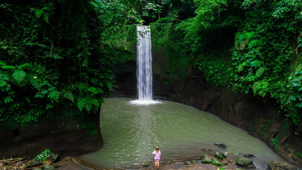 Bali Hidden Route Custom Private Tour