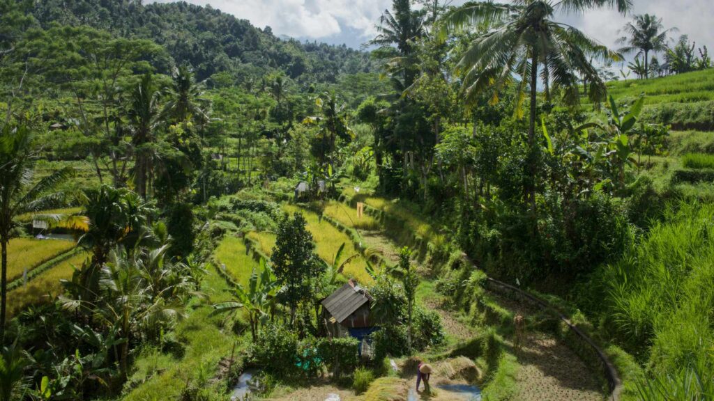 Sidemen Backroad Village Tour