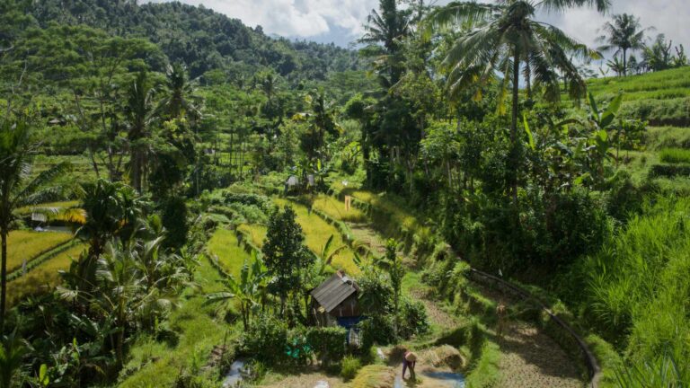 Sidemen Backroad Village Tour