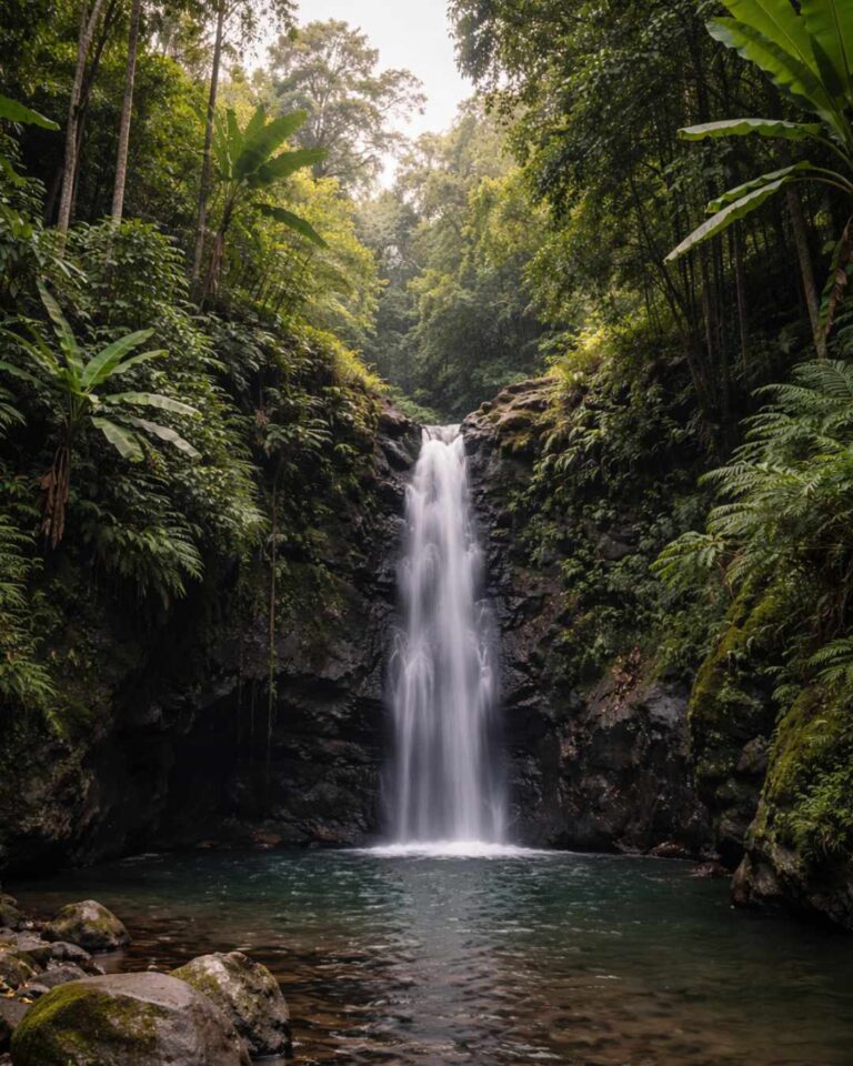 Ulun Petanu Waterfall Tour