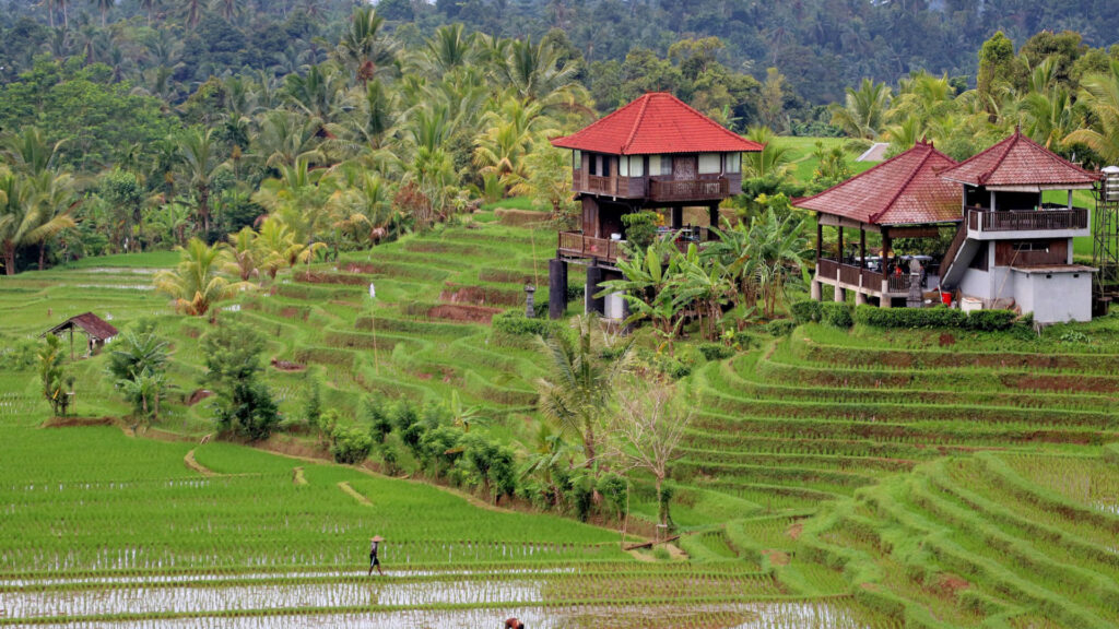 Bali Custom Itinerary Tour with Private Driver