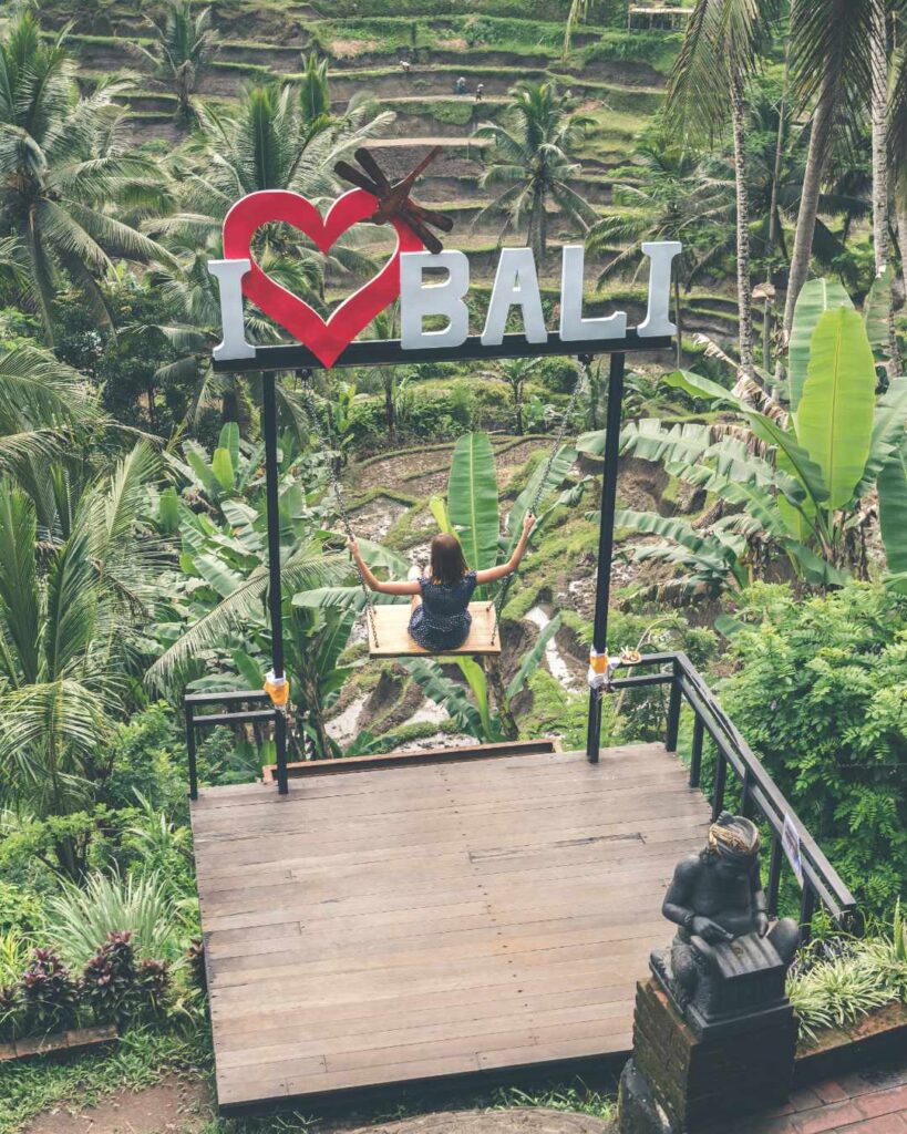 Flexible Bali Day Tour with Dedicated Driver