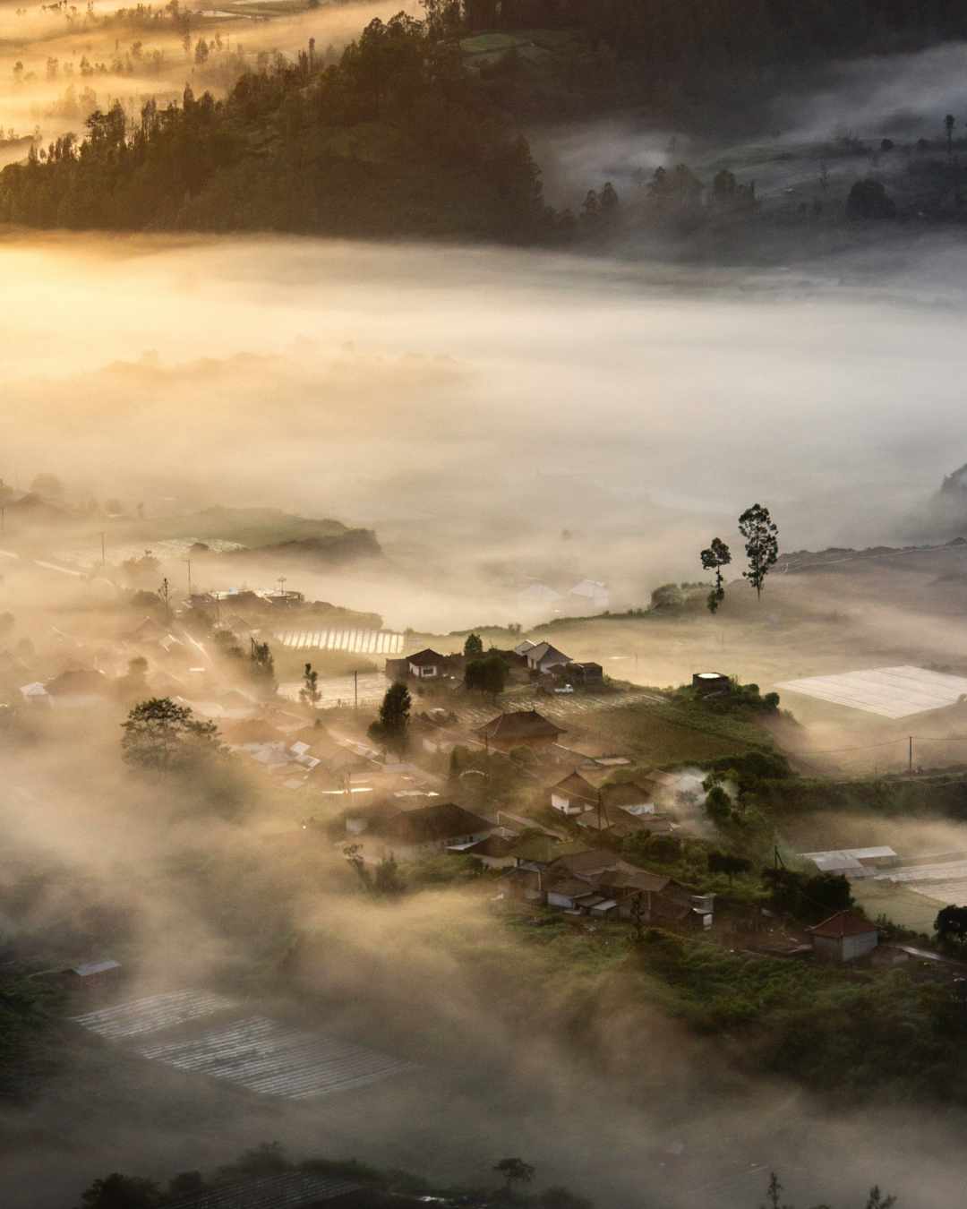 Pinggan Sunrise Spot