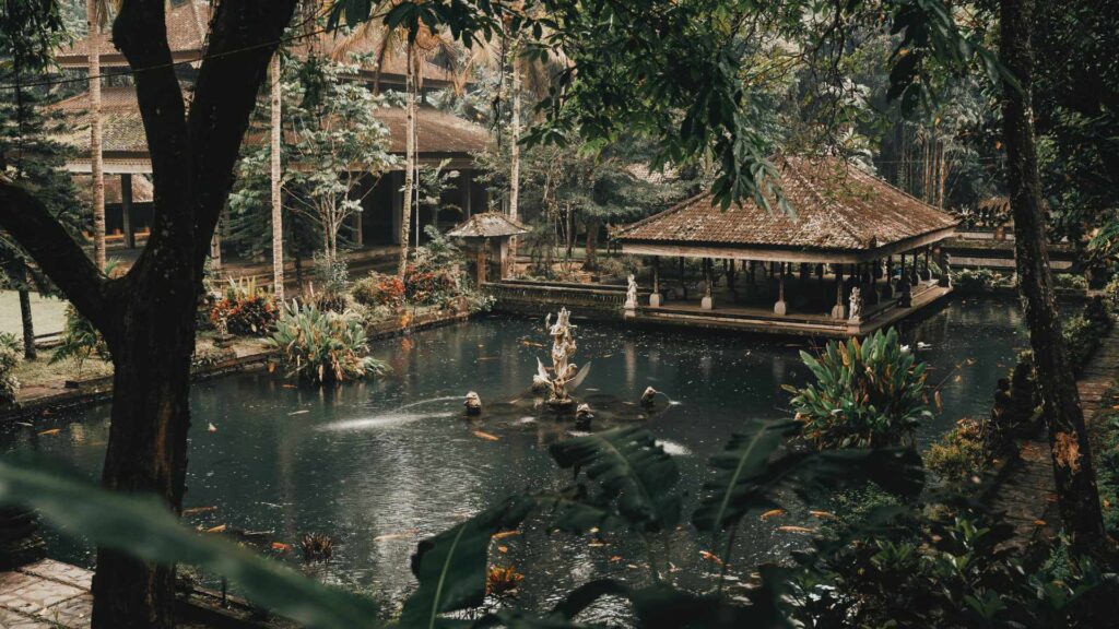 ubud nature