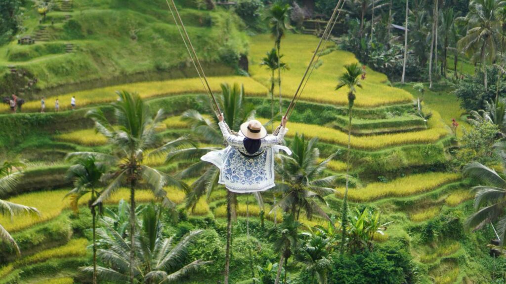 Bali Swing Ubud Private Driver Tour