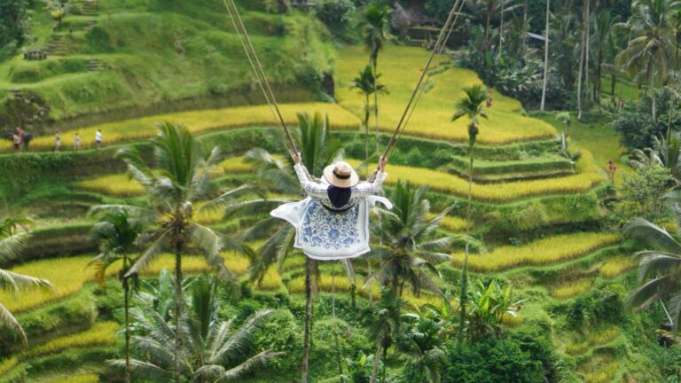 Bali Swing Ubud Private Driver Tour