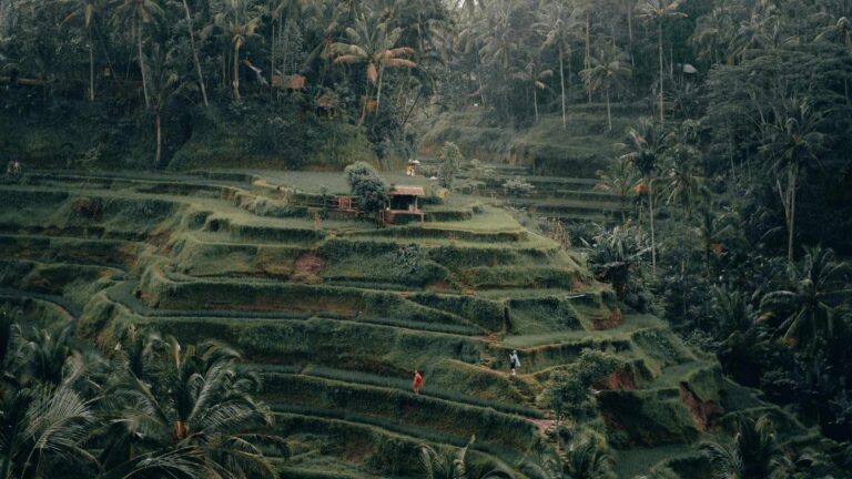 Exploring Bali Comfortably in May