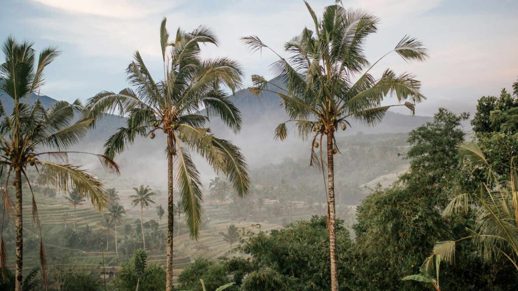Mid-Year Travel in Bali 2026