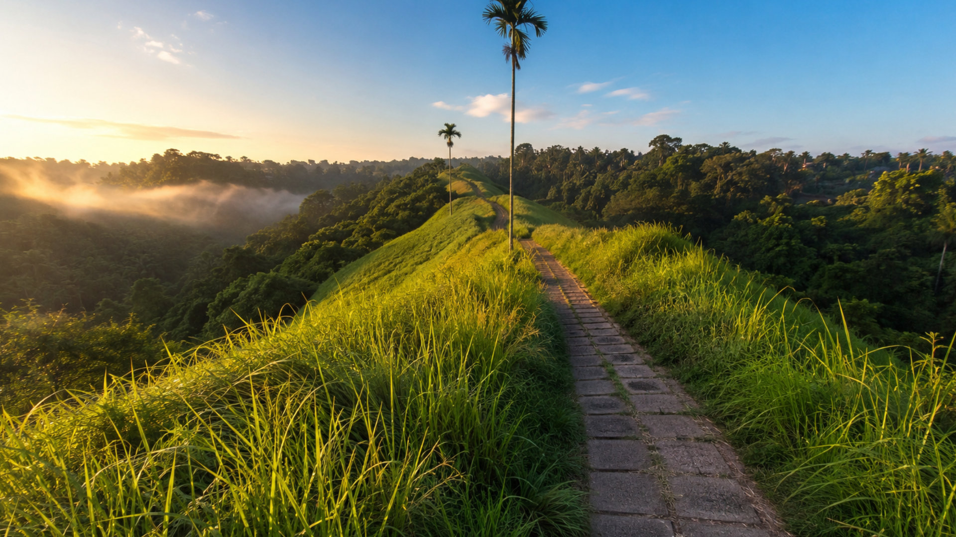 Campuhan Ridge Walk Ubud