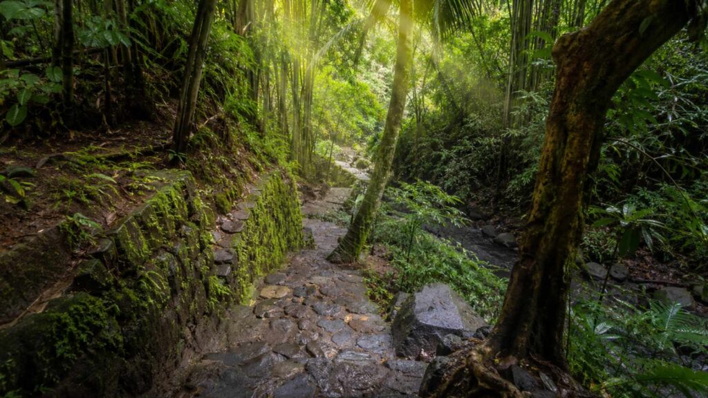 ride in Pengempu Waterfall Bali