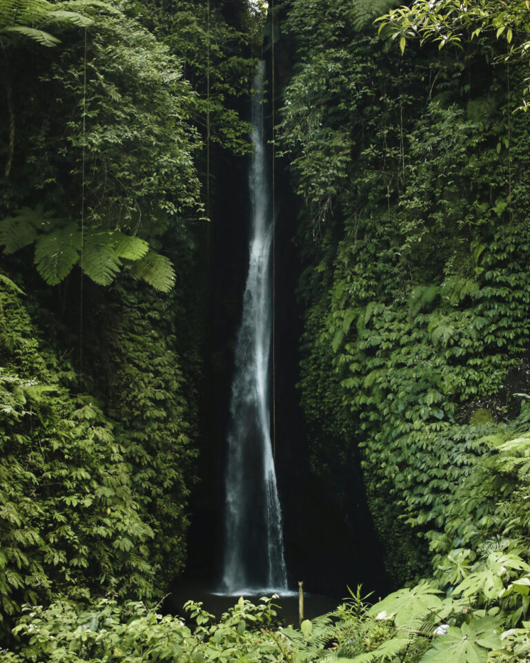 Bali Day Trip Ideas