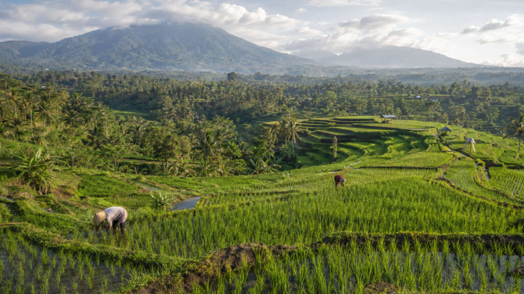 Bali UNESCO Sites