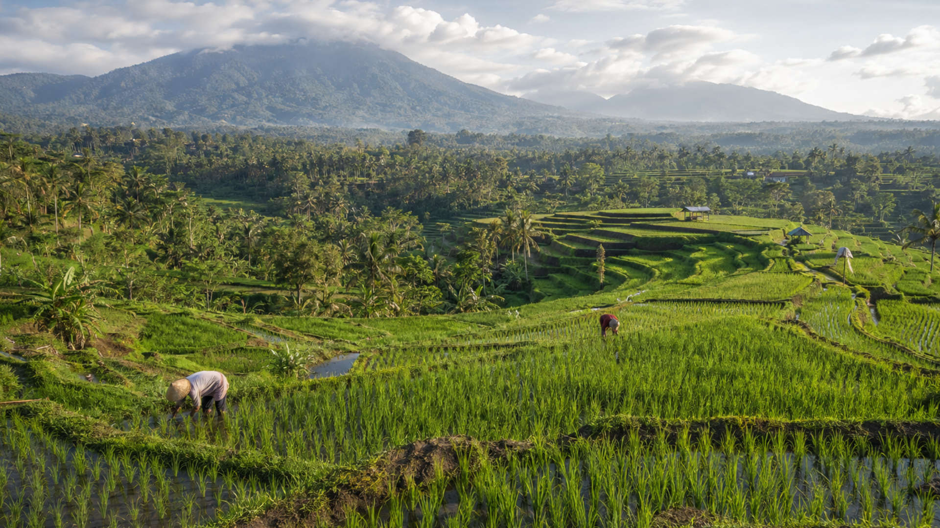 Bali UNESCO Sites