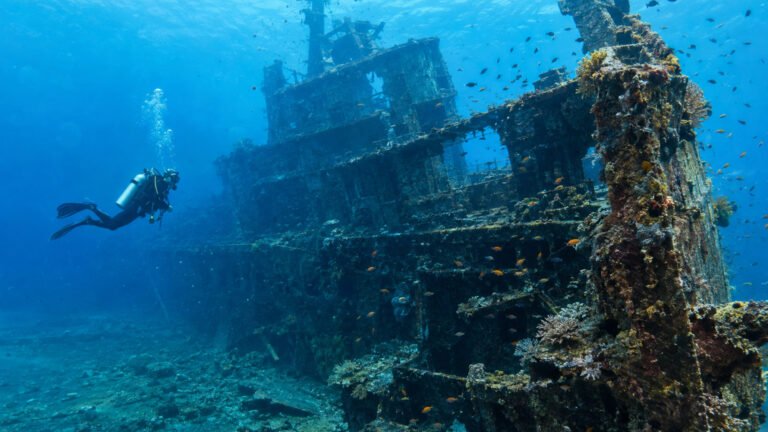 Best Scuba Diving in Bali