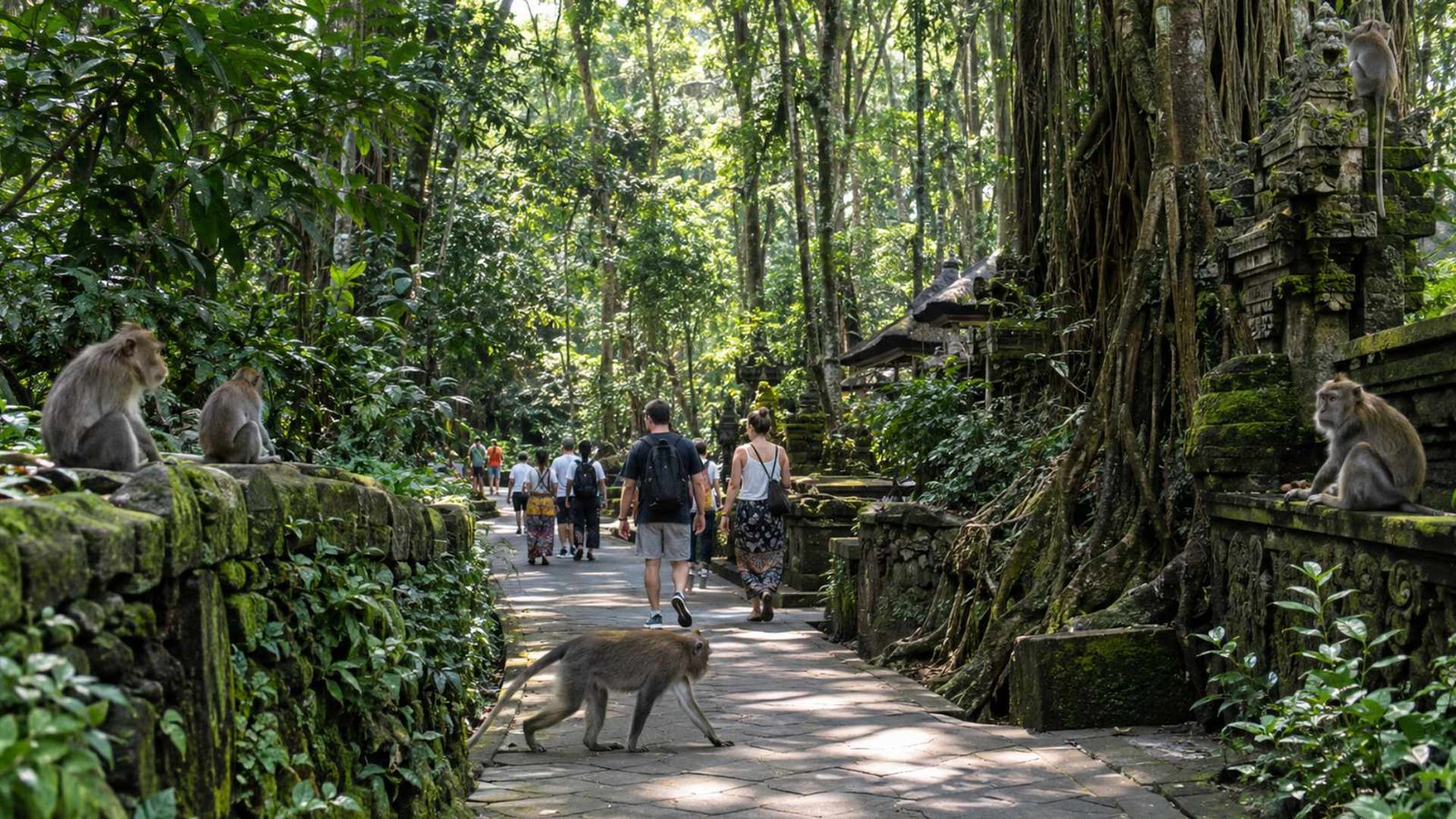 Best Things to Do in Ubud