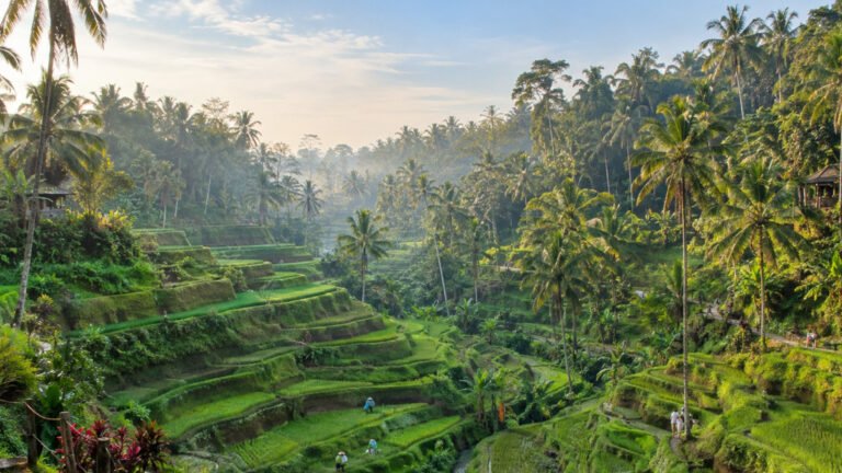 Places to Visit in Bali