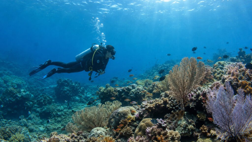 tulamben diving