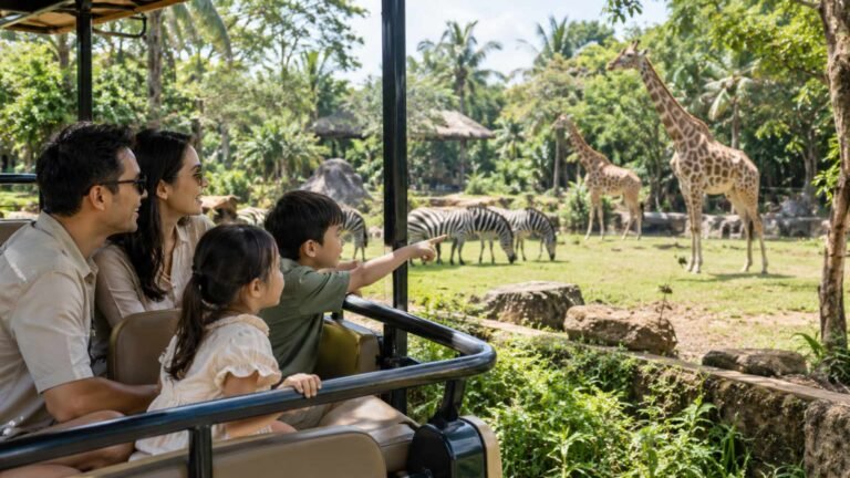 Bali Family Activities