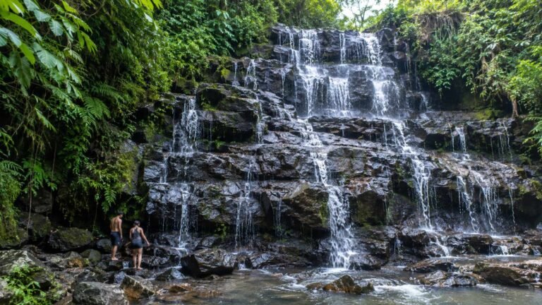 Ubud Waterfall Tour