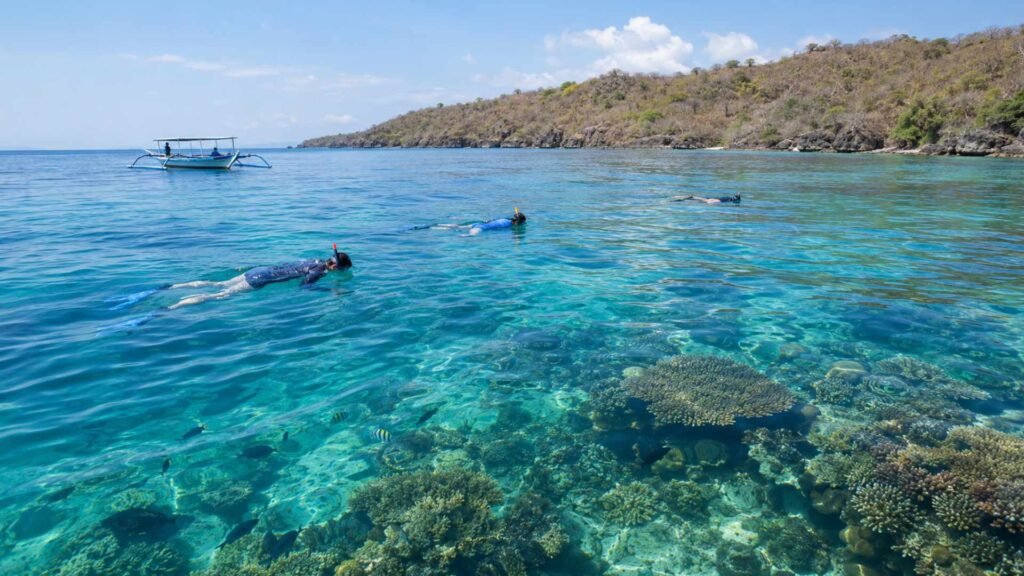 manjangan island snorkling